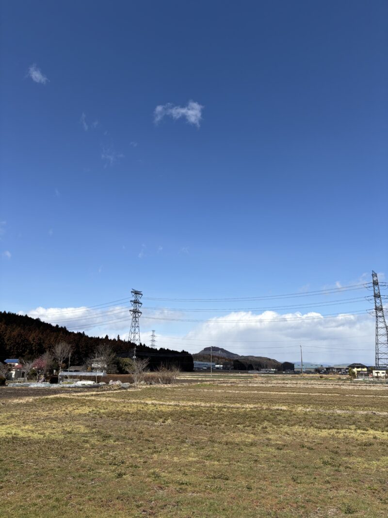 とちぎ保育士・保育所支援センター：
