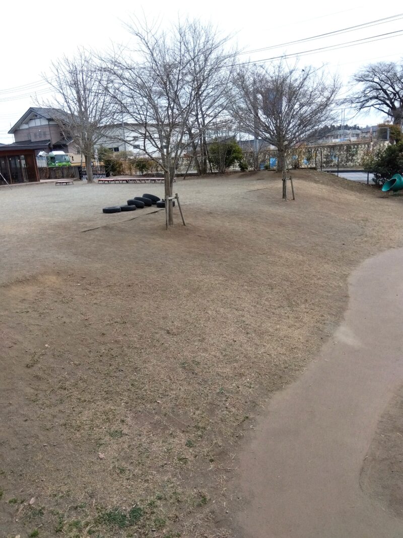 とちぎ保育士・保育所支援センター：